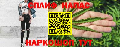 гидропоника Дубна