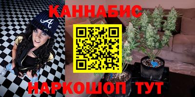гидропоника Дубна