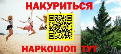 гидропоника Дубна