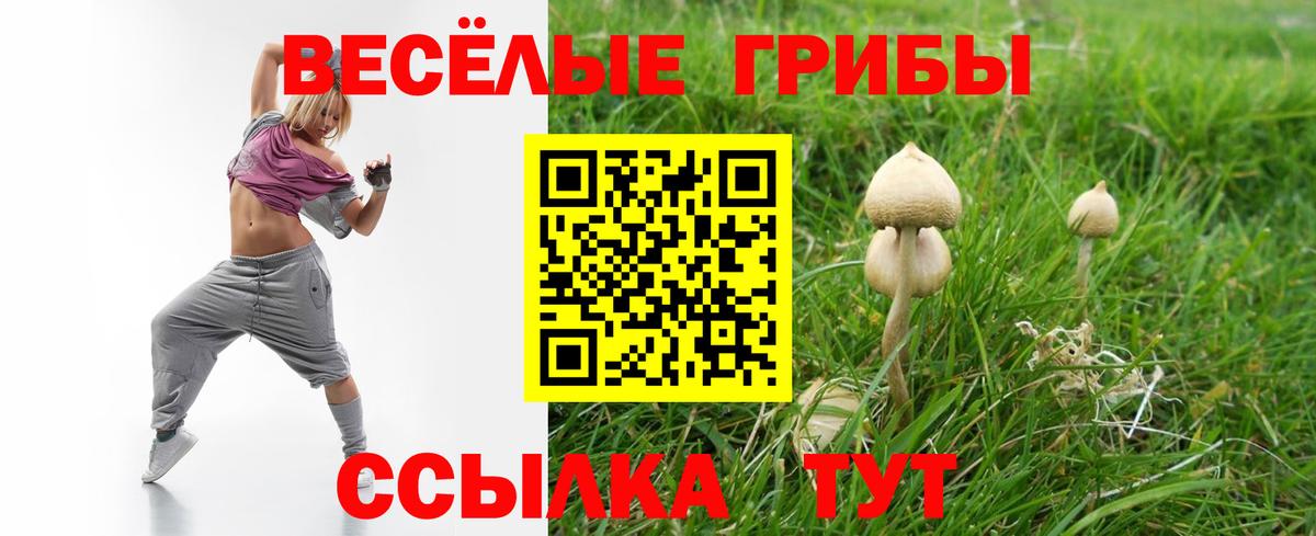 Благовещенск  даркнет сайт  Вход с VPN  Галлюциногенные грибы MAGIC MUSHROOMS 