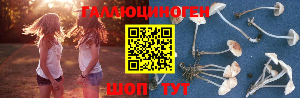 Галлюциногенные грибы GOLDEN TEACHER Благовещенск